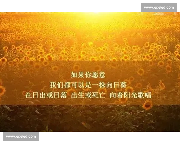 武汉大学三行诗比赛：用简短的文字描绘无尽的风景与情感